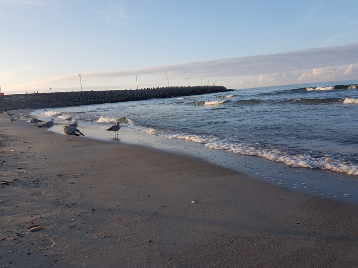 Hafen Strand