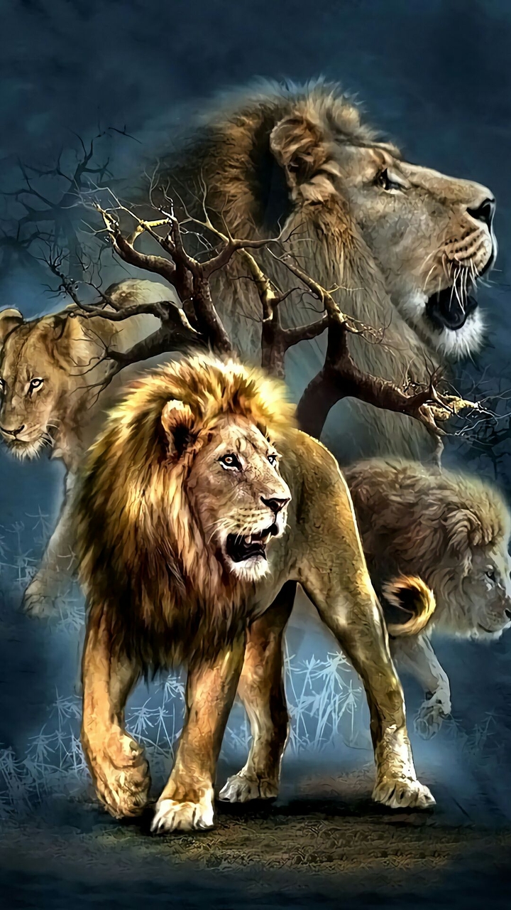 lions