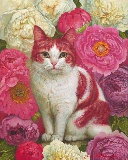 #meow