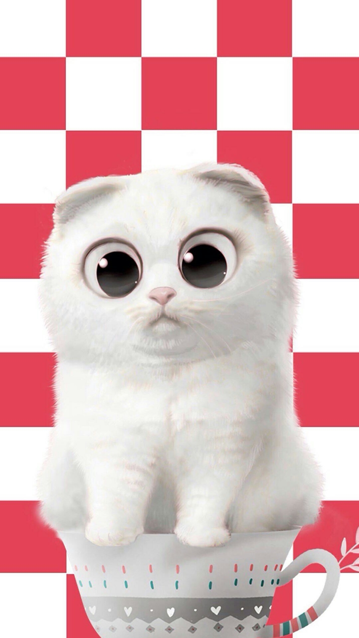cute cat