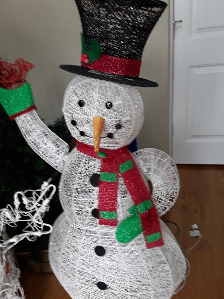 Mr. Snowman