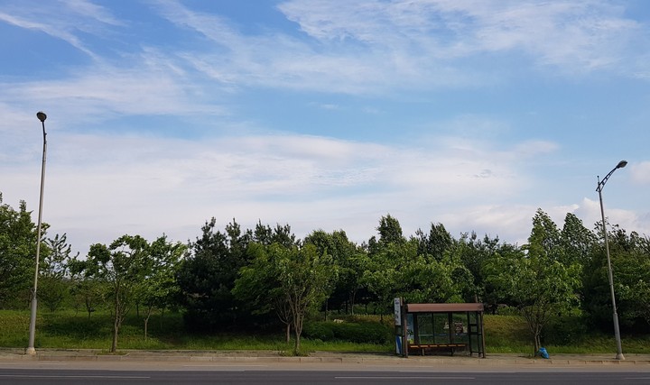 Sky, Tree and bus stop