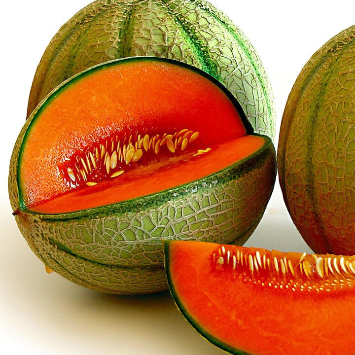 Melon