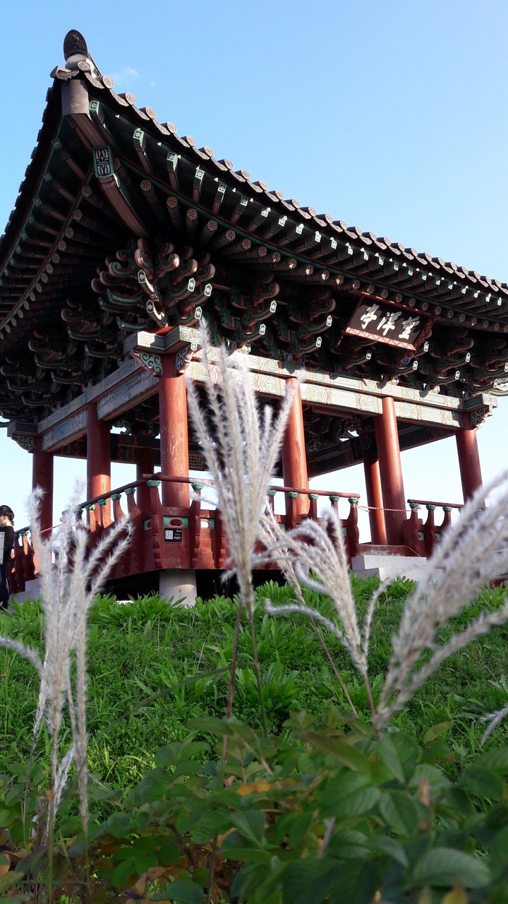 mangyangjung