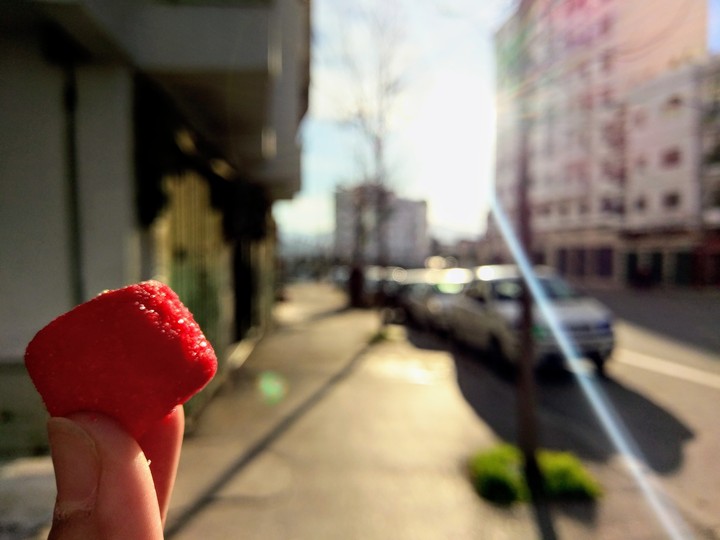 Marshmallow tiiiime <3