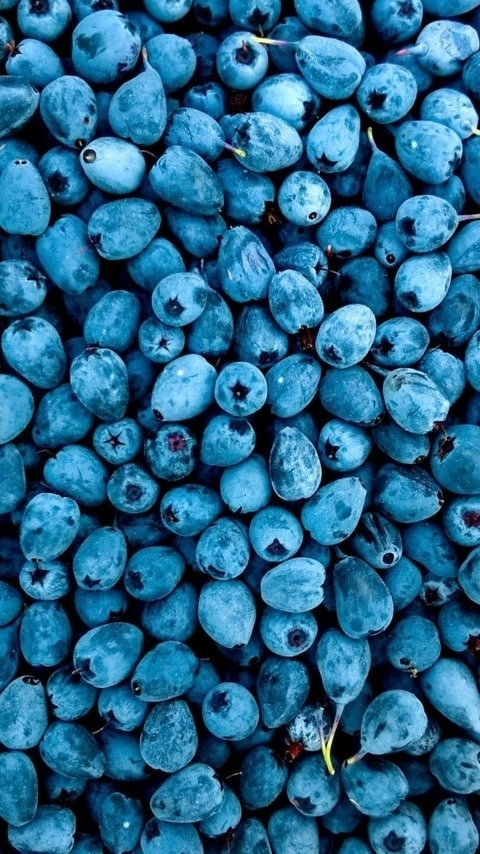 berry