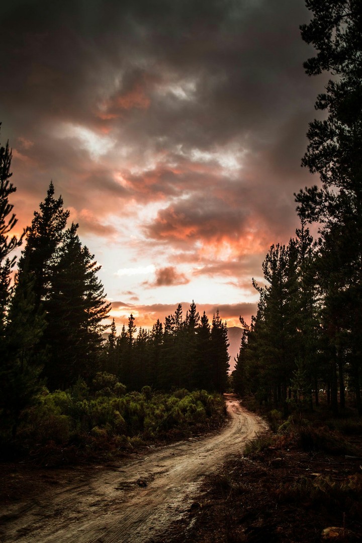 path..
