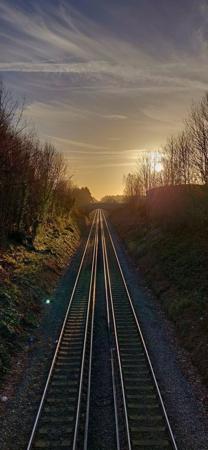 trackless life....