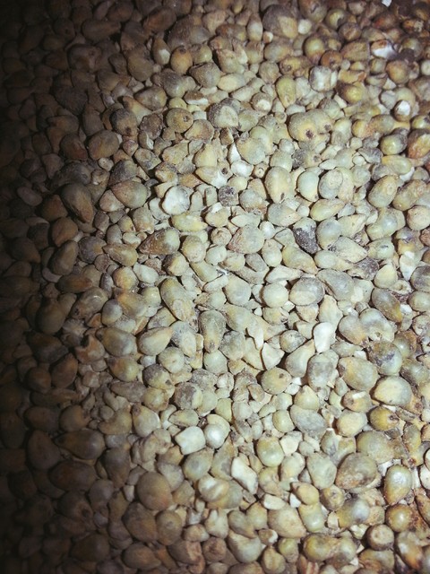 STONES