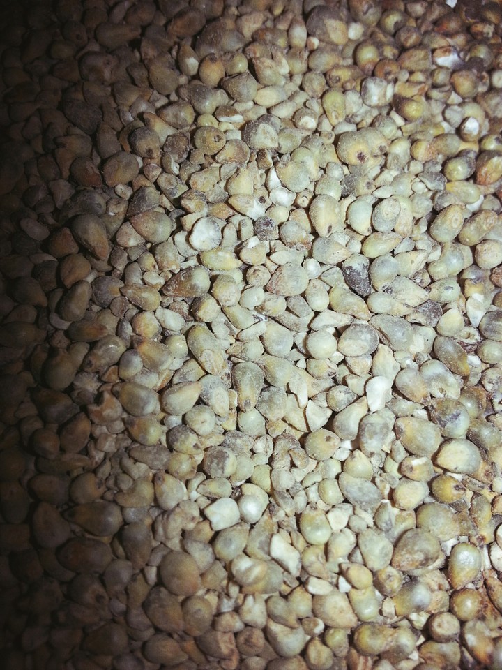 STONES