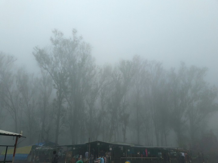 fogg