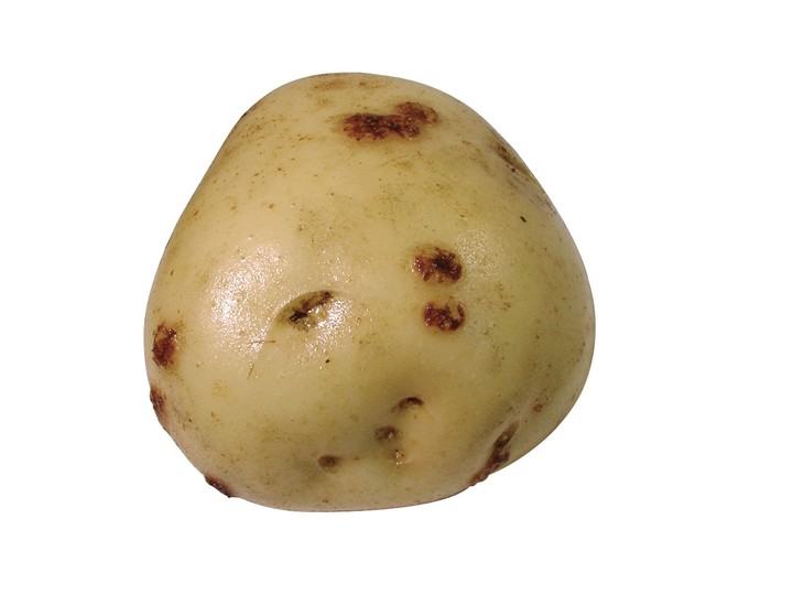 음식이미지