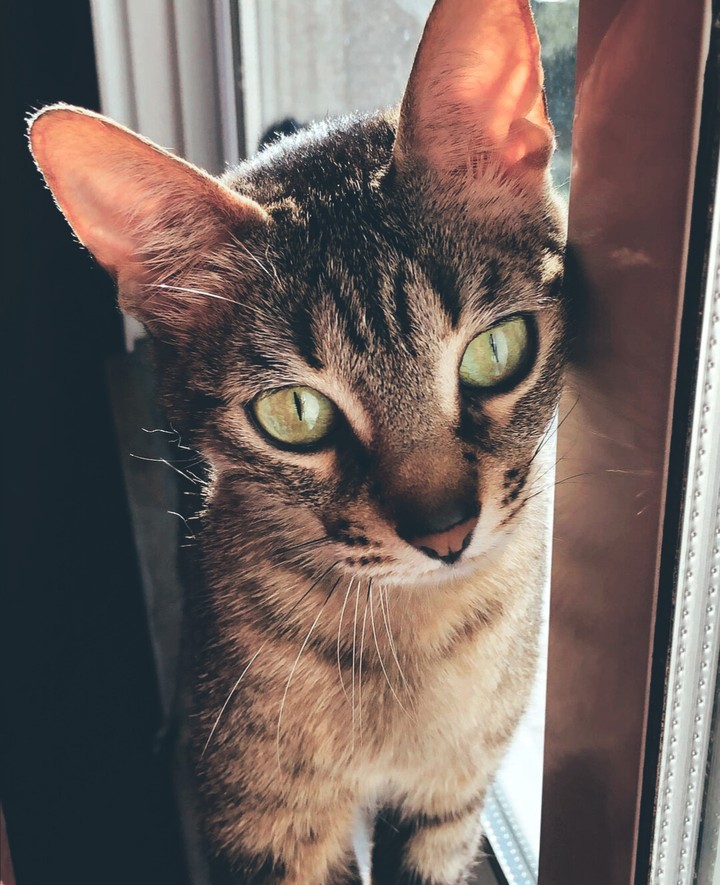 my ángel ❤️