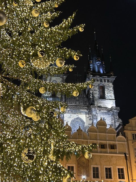 papéis de parede Midnight, ornament
