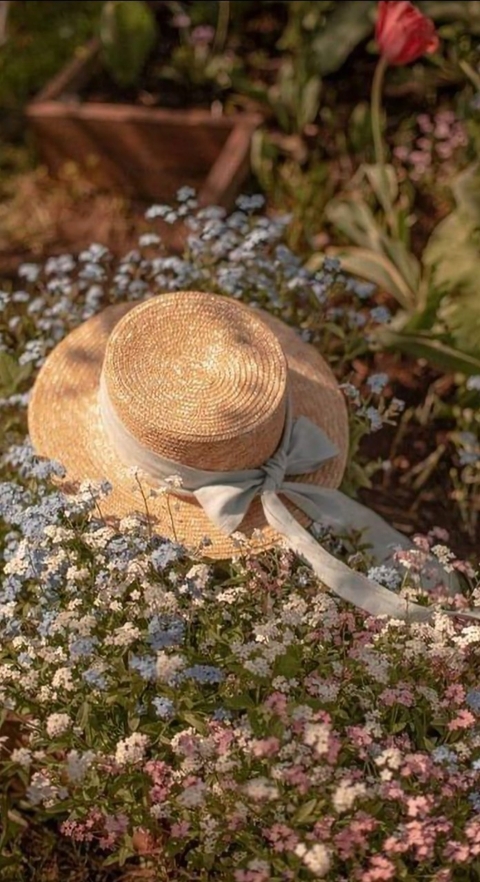 petal, pink duvar kağıtları