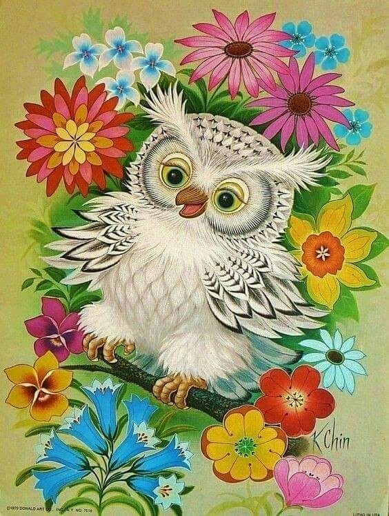 сова