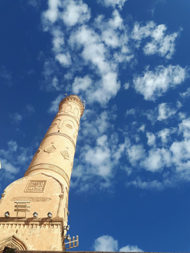 Mardin