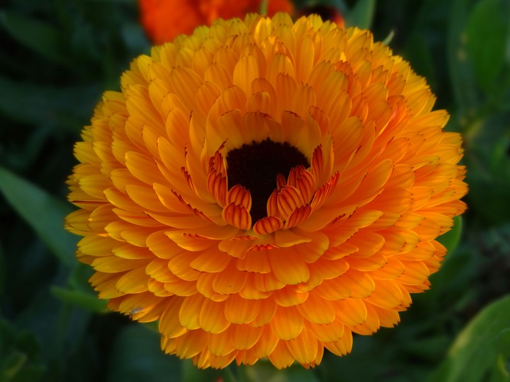 Bright sunlight