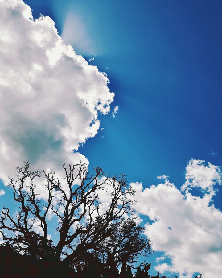 cloudy