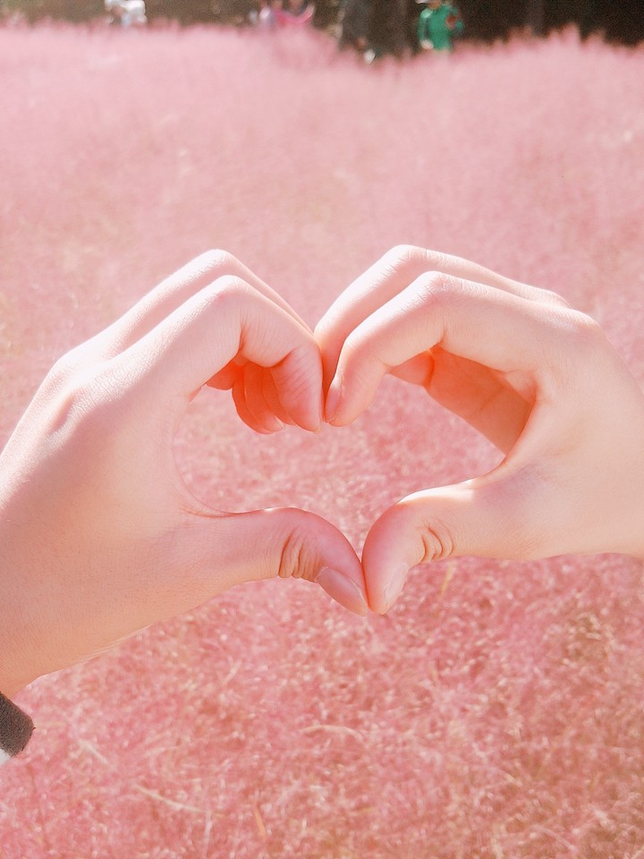 핑크뮬리♡우정