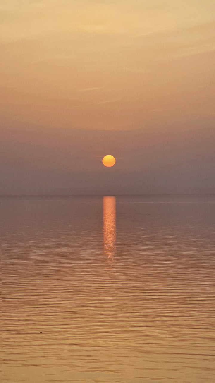 Arabian sun
