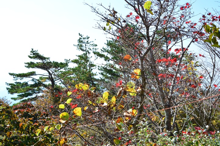 한라산이미지
