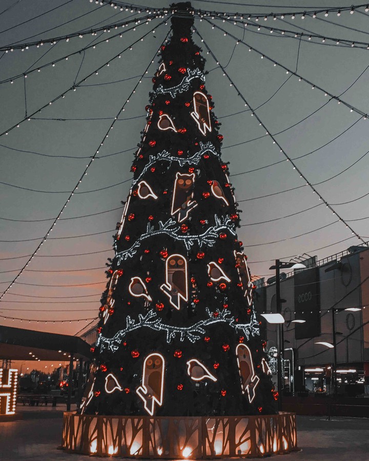christmas tree