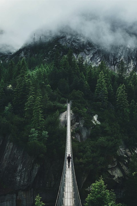 bridge