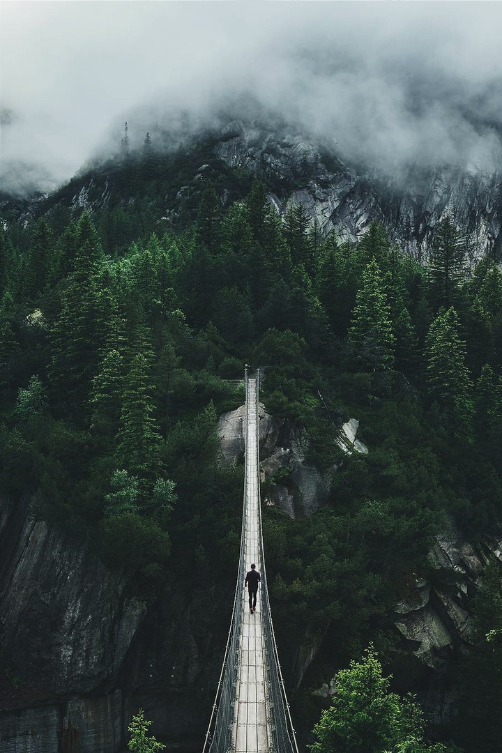 bridge