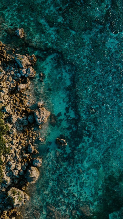 Sea