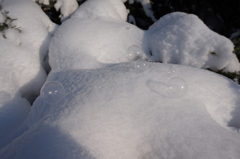 Frozed soap bubbles