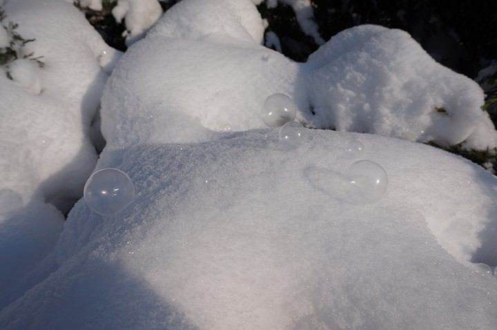 Frozed soap bubbles