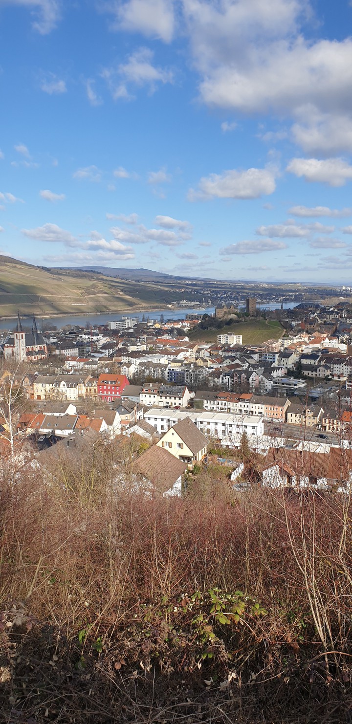 Bingen am Rhein