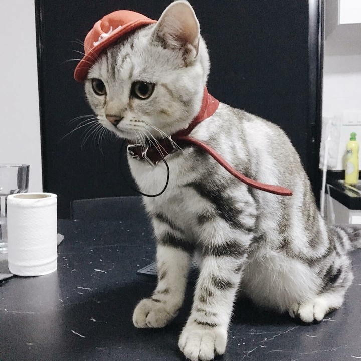 Ready to go!