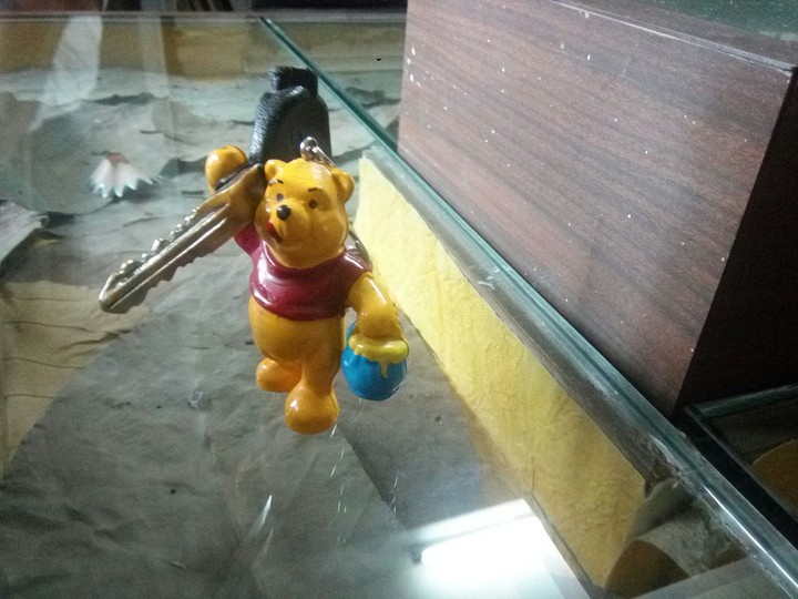 Bear