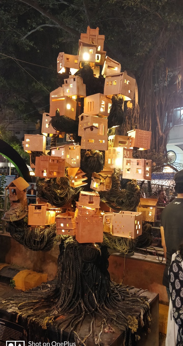 House of an Angry Birds