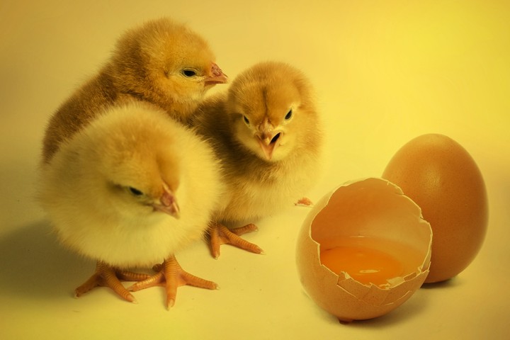 lovely picture...