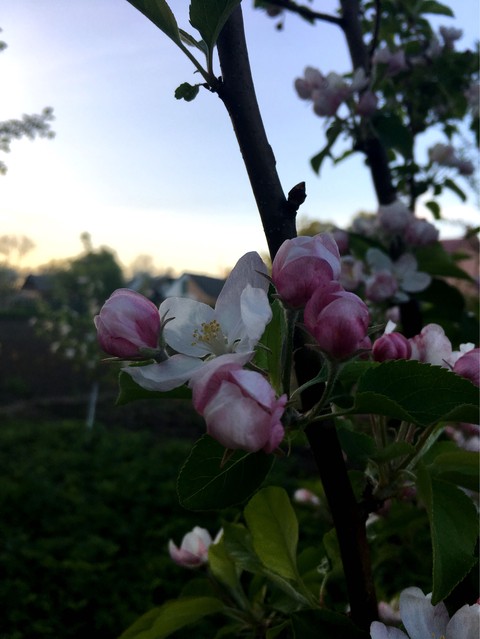 spring all around