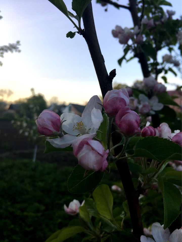 spring all around