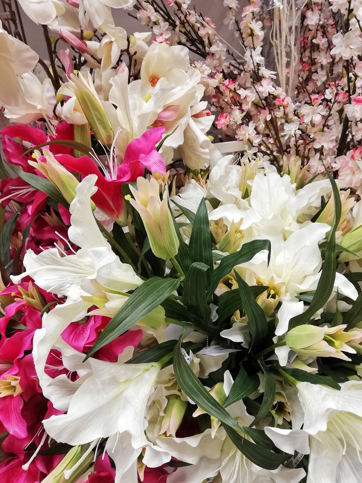 Flowers