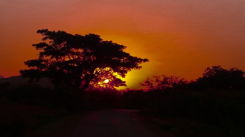 sun set