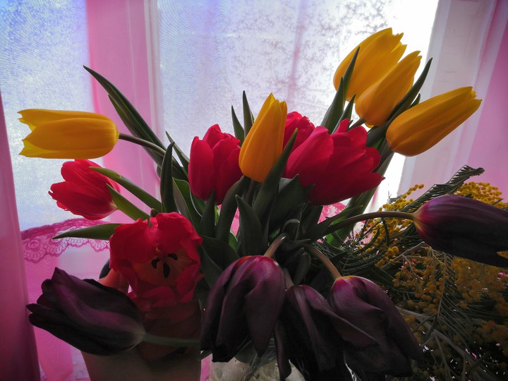 Flowers