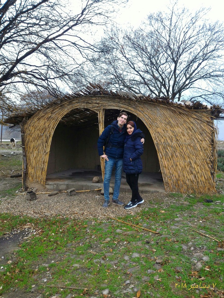 Love in forest home 