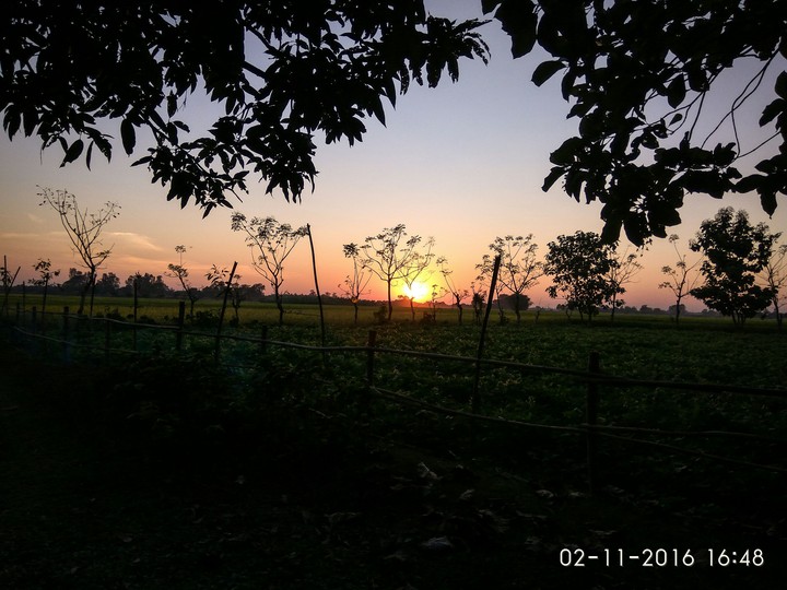 sunset