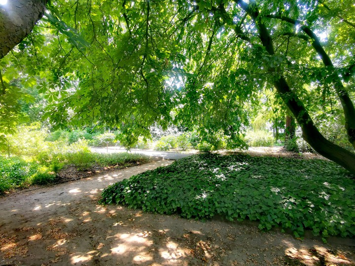 Botanic Garden