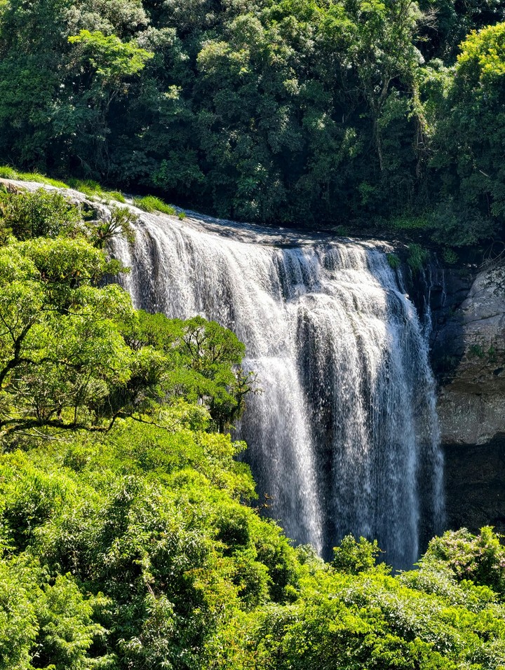 waterfall, vegetation wallpapers