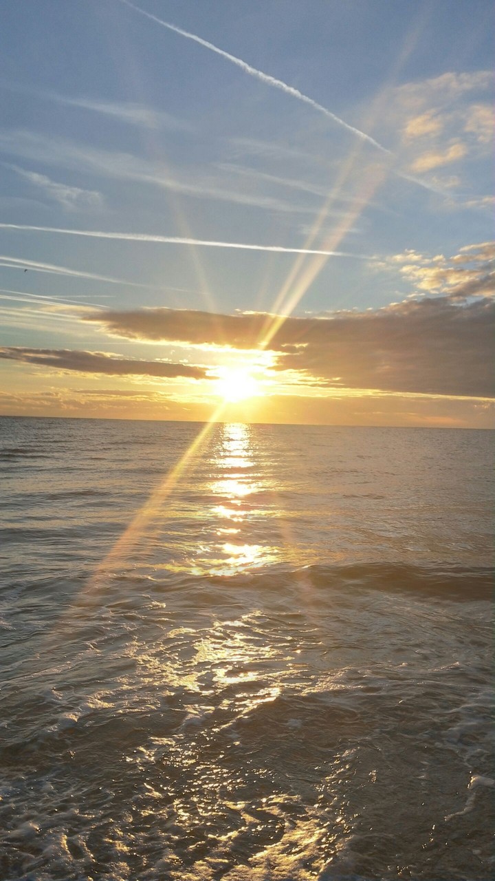 sunlight