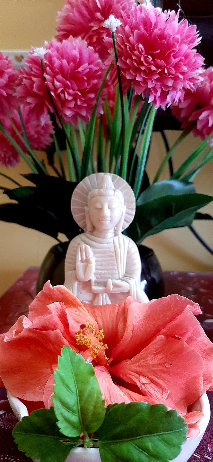 BUDDHA PURNIMA
