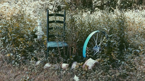 Vintage Garden