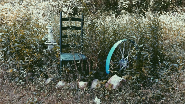 Vintage Garden